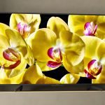 SONY X80G 4K TV Review