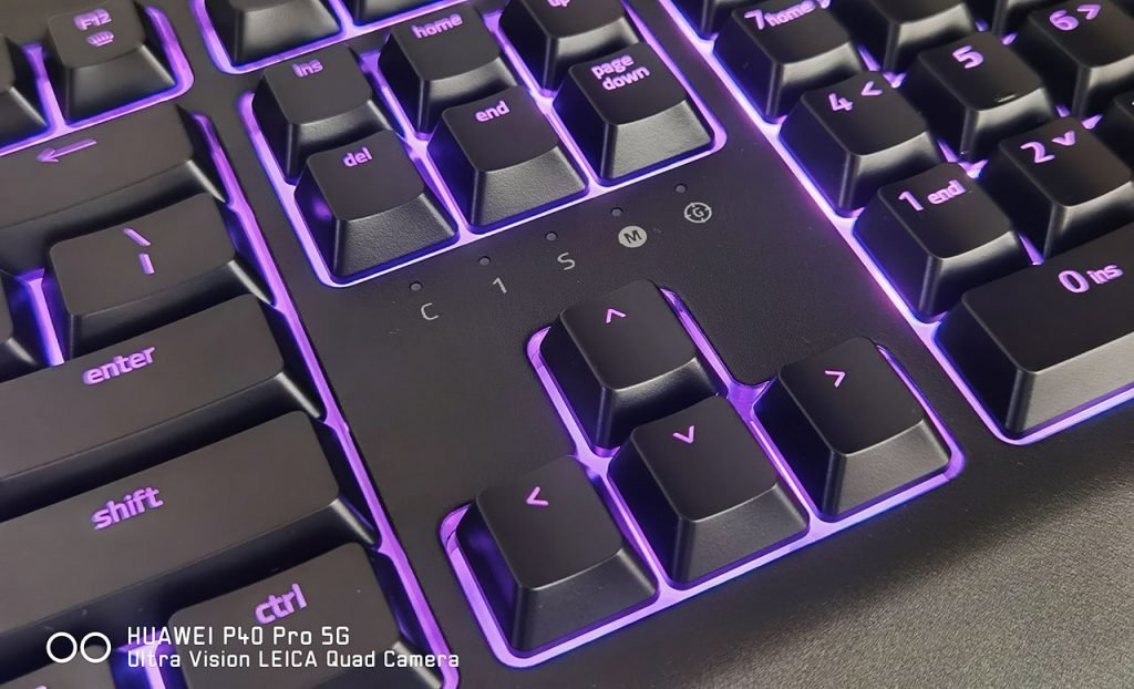 Razer Cynosa V2 Review