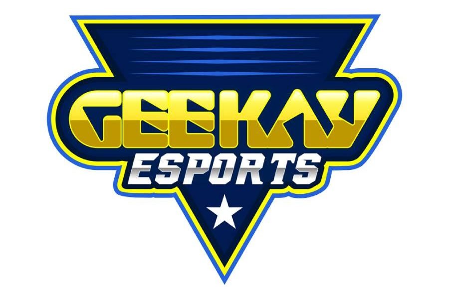 Geekay announces Esports division
