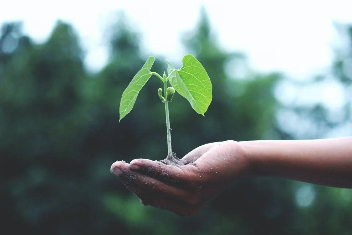 The corporate sustainability trifecta: Ambitious targets, transparency, and a focus on data