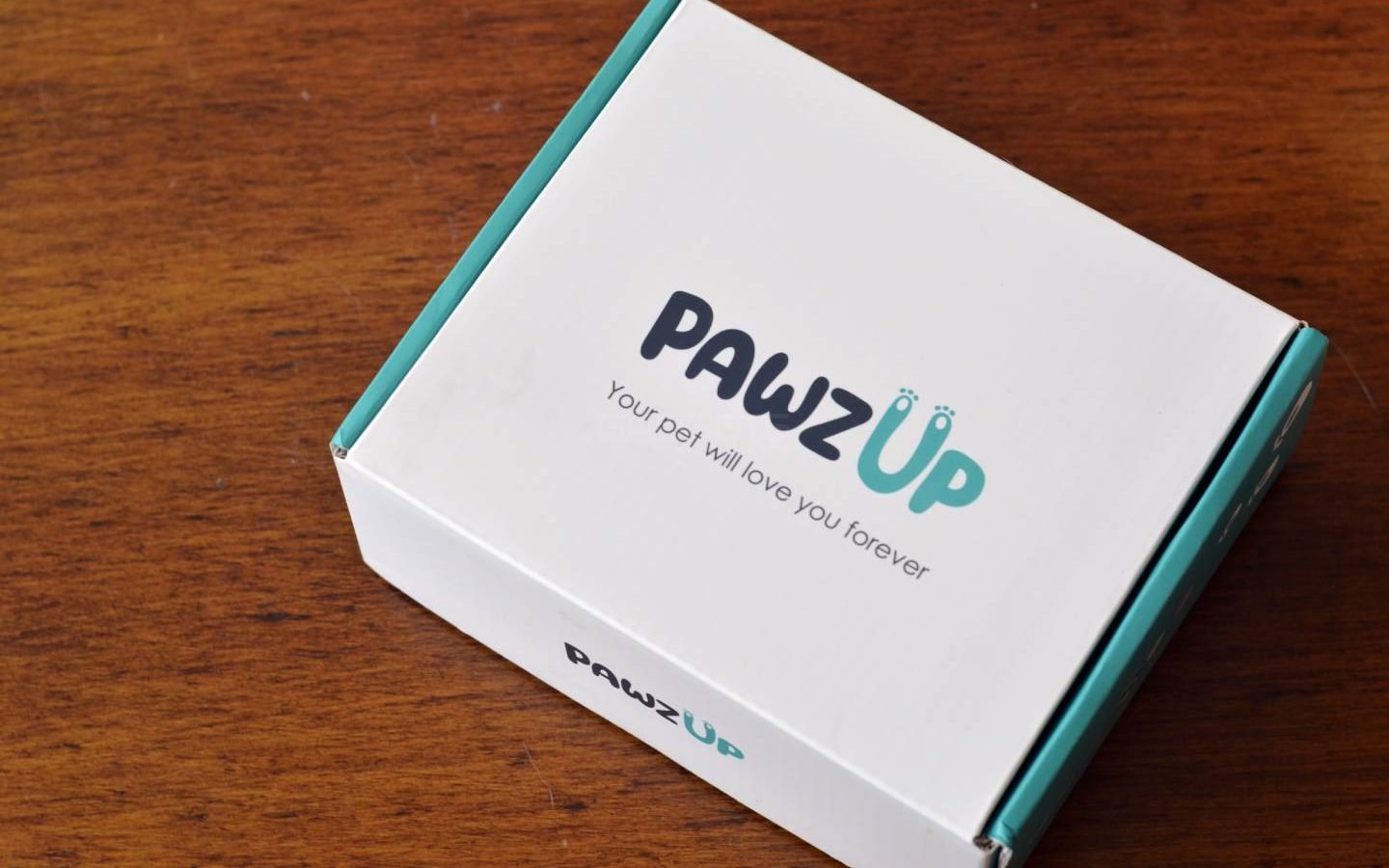 PawzUp Portable Pet Massager Review