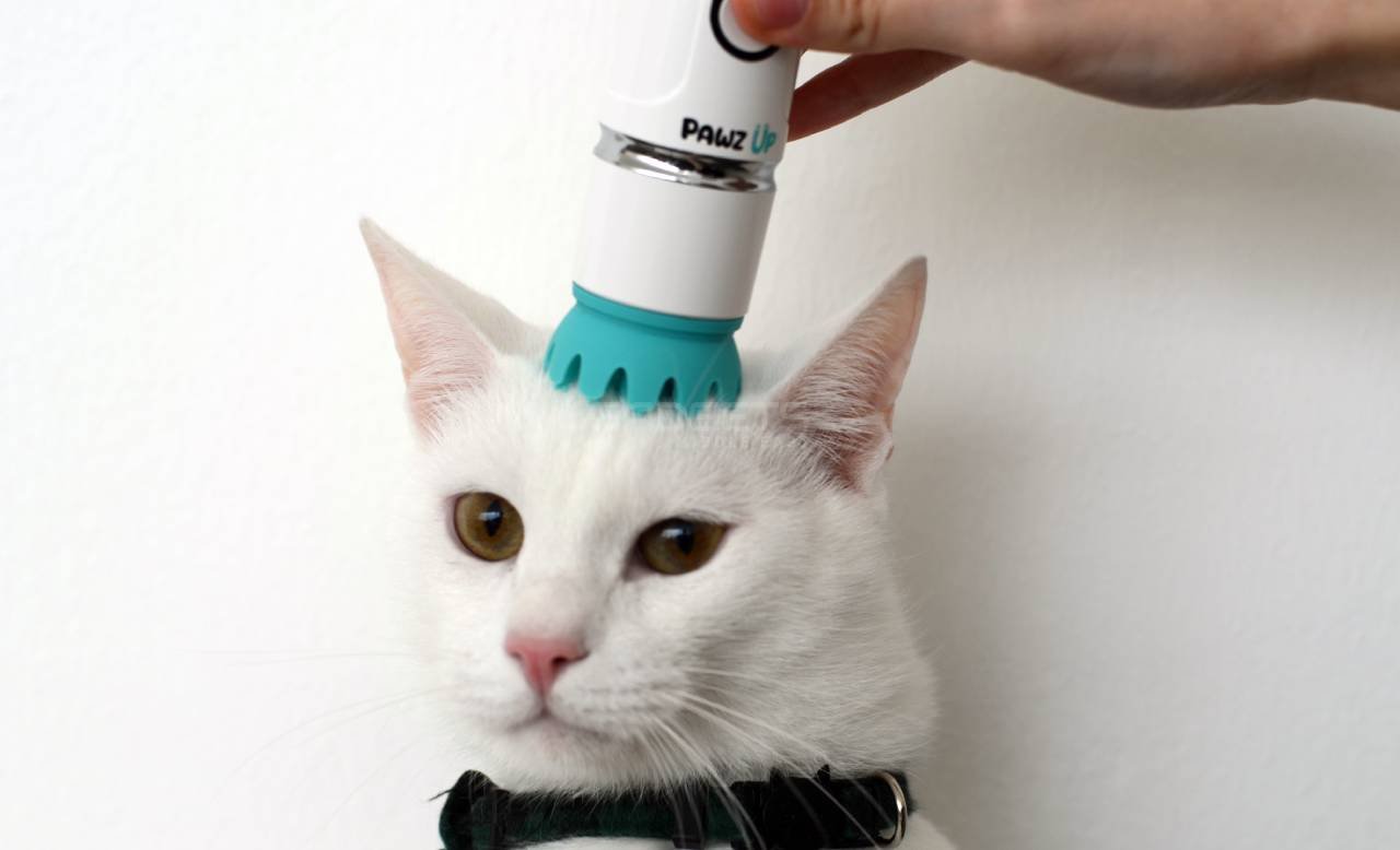 PawzUp launches portable pet massager