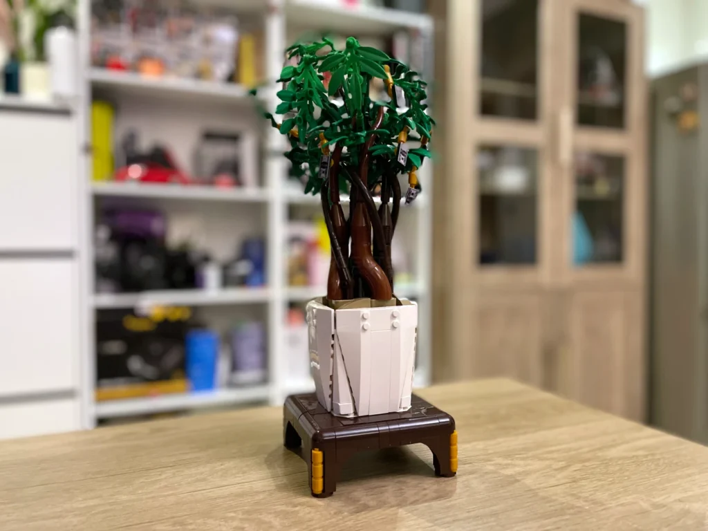 JMBricklayer Money Tree 20008 Review