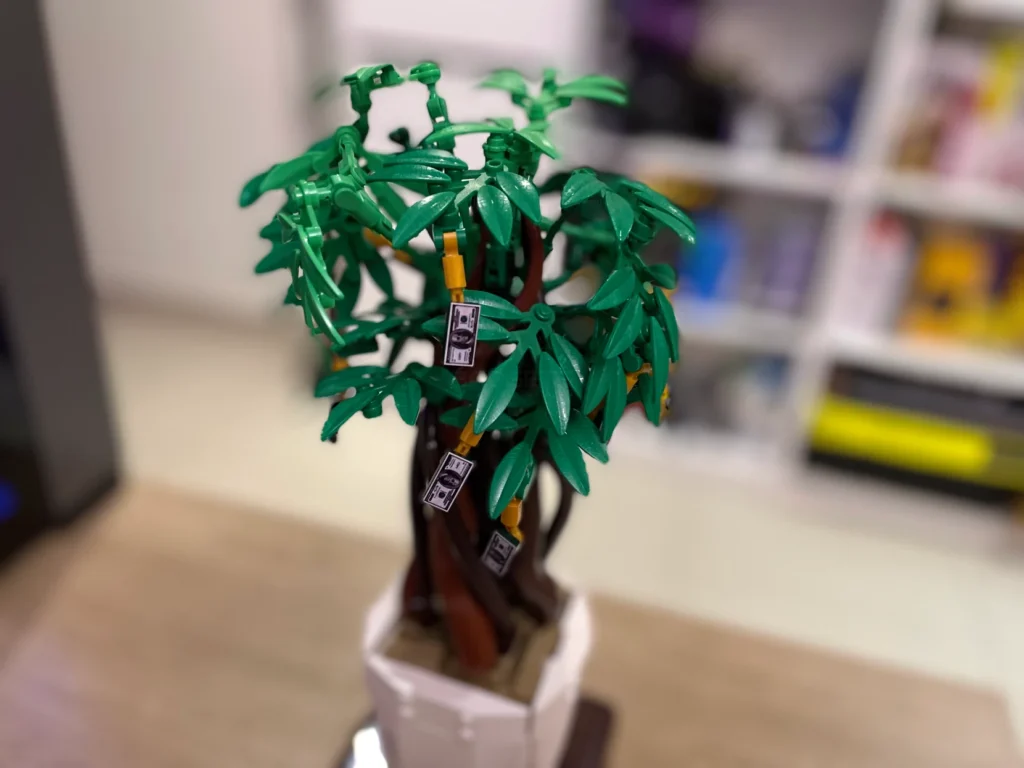 JMBricklayer Money Tree 20008 Review