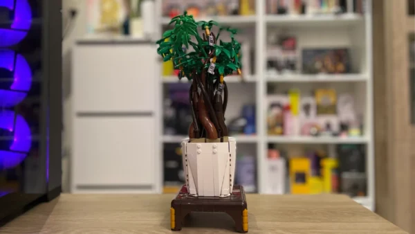 JMBricklayer Money Tree 20008 Review