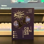 Kiwi Ears Cadenza In-Ear Monitors Review