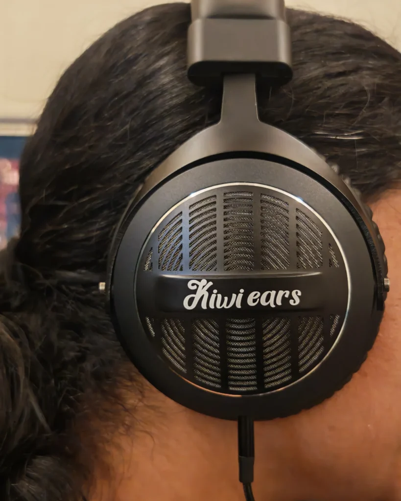 Kiwi Ears Ellipse Review
