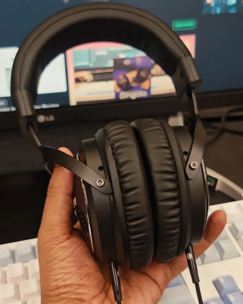 Kiwi Ears Ellipse Review
