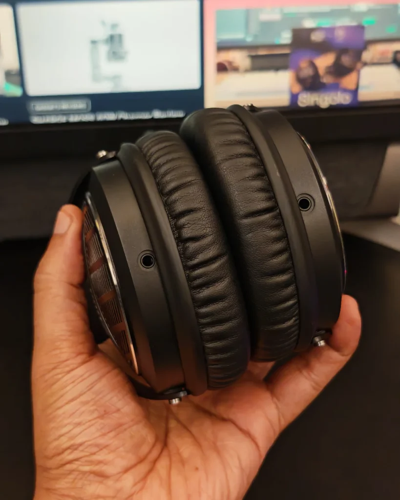 Kiwi Ears Ellipse Review
