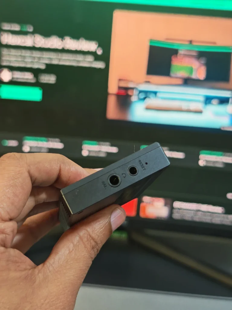 Snowsky ECHO Review